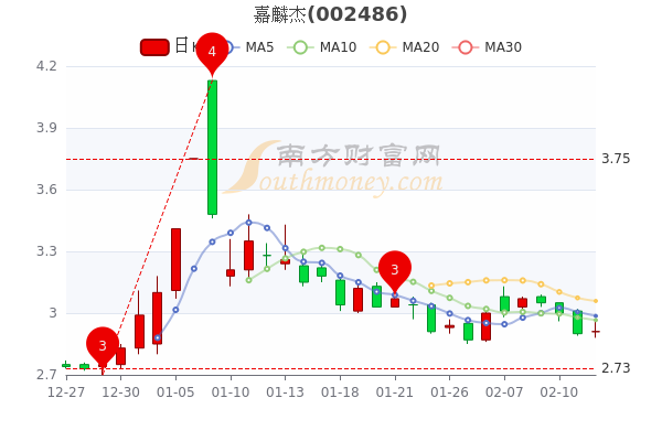 嘉麟杰2月14日换手率达184散户净流出16006万
