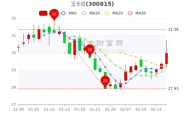 玉禾田2月17日主力净流入8539万成交额达906194万