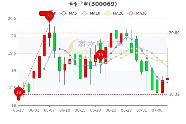 金利华电7月8日股票市盈率5524换手率达109