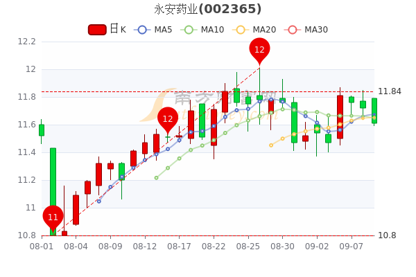 永安药业9月9日市值3421亿大单净流入75089万