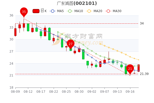 广东鸿图9月20日股票市盈率4161成交量达2116万让你搞明白