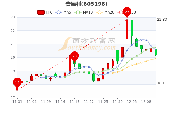 安德利12月12日换手率达229中单净流入19393万