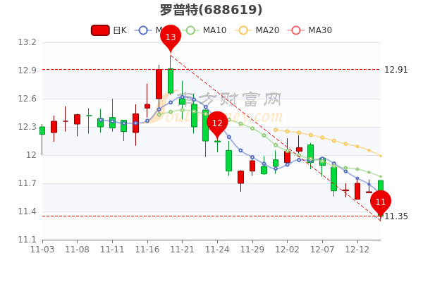 罗普特12月14日报1135元散户净流入20266万一分钟带你了解