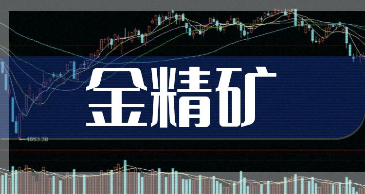 金精矿行业概念股票名单一览2022126