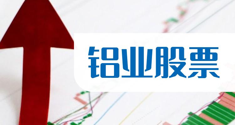 铝业上市公司十强三季度股票净利率的排名