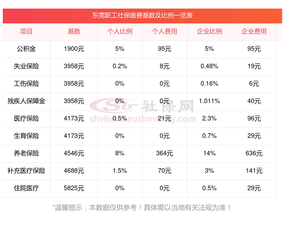 一文读懂