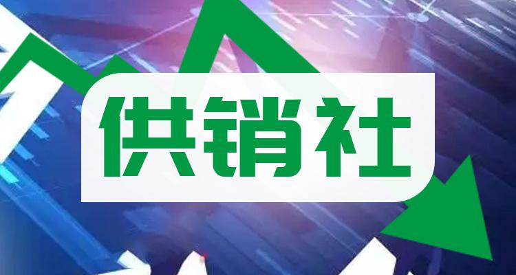 供销社上市公司十强是哪几家_7月27日成交量排行榜(附2022排名前十榜单)