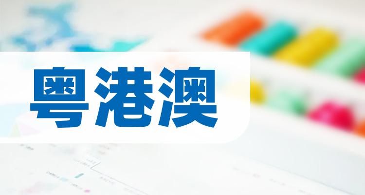 十大粤港澳排行榜-7月4日相关股票市盈率前十名(附2022排名前十榜单)