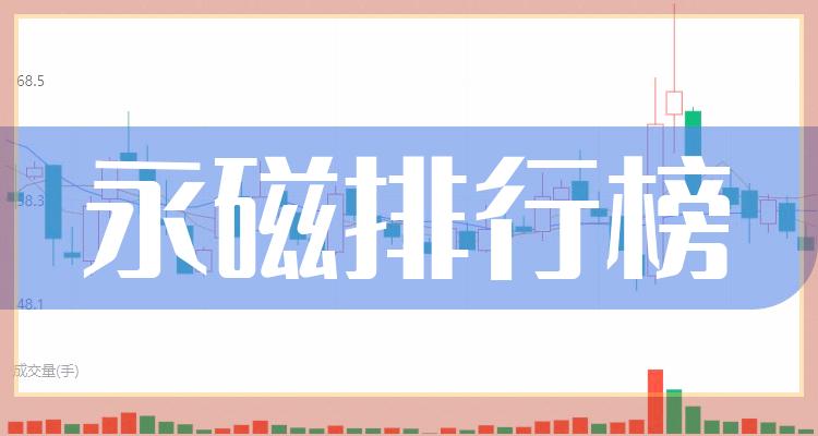 永磁哪个公司好（三季度营收排行榜）(附2022排名前十榜单)