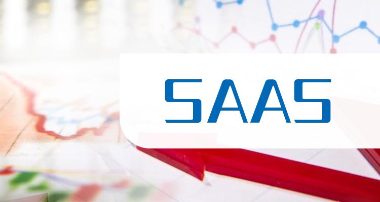 SAAS上市公司十强（2022年11月25日股票市盈率的排名）