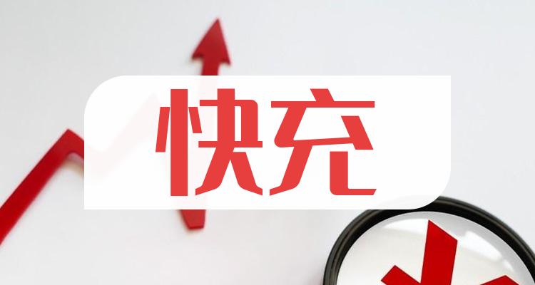 十大快充排行榜_相关股票净利率榜单（三季度）(附2022排名前十榜单)