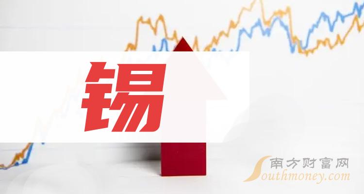 共二隻錫上市公司龍頭股票名單20231212