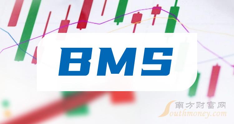 12月12日bms概念股票討論附企業名錄