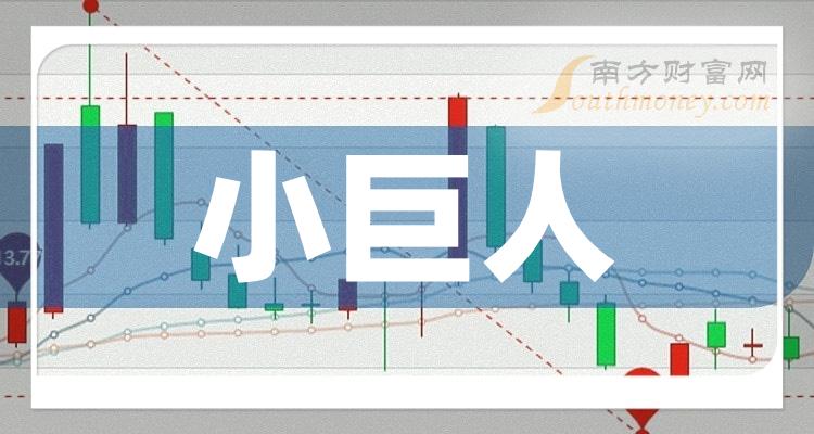 a股小巨人概念上市公司一覽附股票名錄20231229