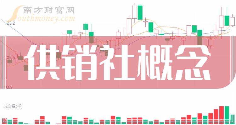 a股收藏好供銷社概念股票龍頭股票名單202411