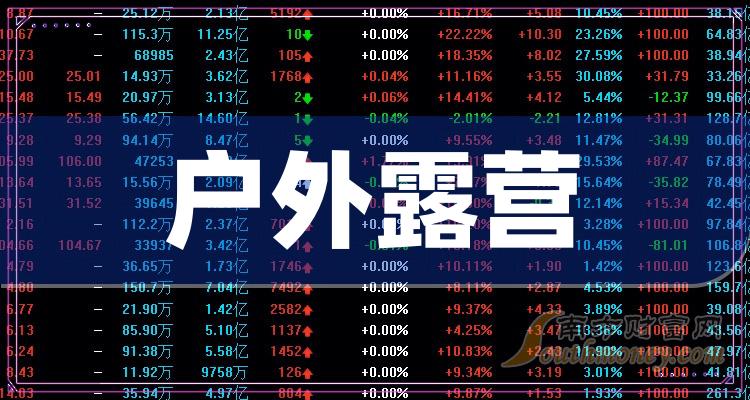 2024年這些戶外露營龍頭股值得收藏戶外露營股龍頭