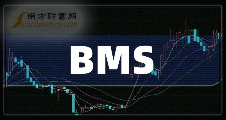 a股這五隻bms概念龍頭股請查收202427