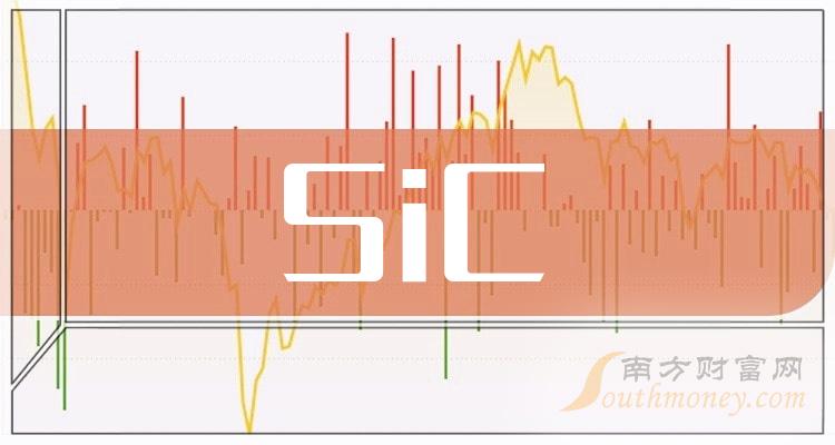 2024年版sic行業股票名單在這2月20日