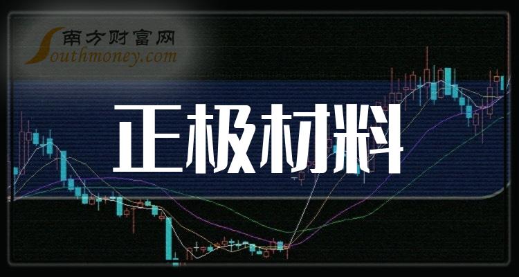 正极材料概念龙头股票:共4只,(附股)(2024/7/16)