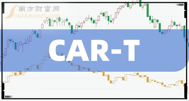 car-t图片