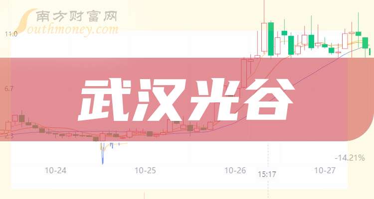 武汉光谷关键词排名上首页 www.southmoney.com