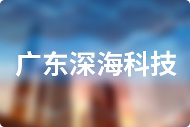 V|Ƽй˾ǰ10(qing)2024ڶȹM(fi)а