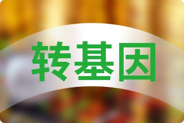 D(zhun)KƱ2025NM(fi)ǰʮ