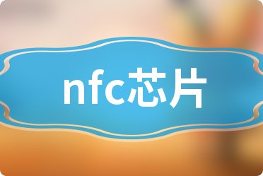 nfc芯片公司哪家强_2024第一季度股票净利润排行榜